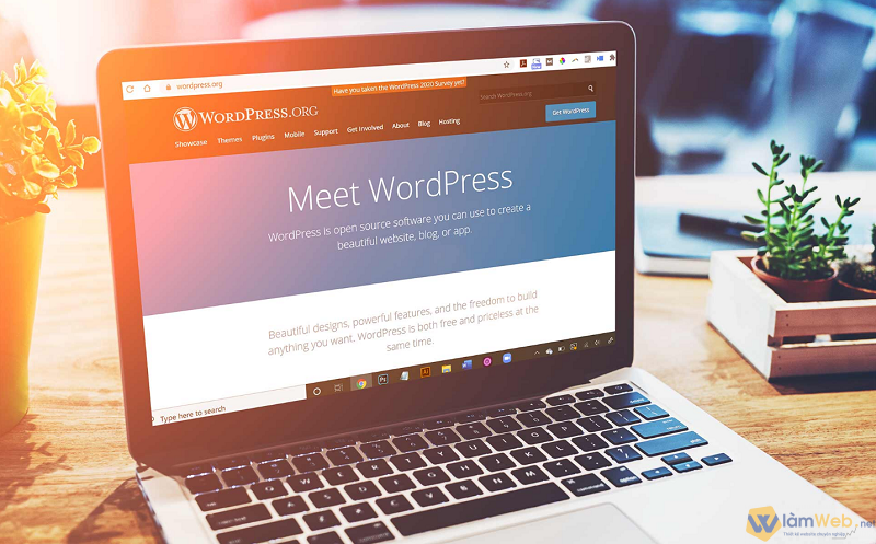 Thiết kế website bán hàng bằng Wordpress miễn phí nhưng đòi hỏi người dùn cần có thời gian đầu tư