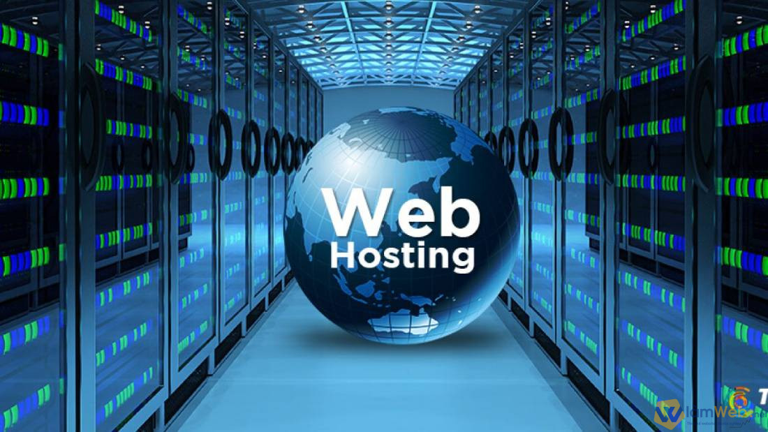 Lựa chọn dịch vụ web hosting hỗ trợ cho website hoạt động ổn định