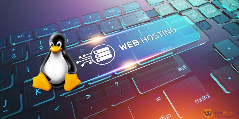 Hosting Linux sở hữu nhiều ưu điểm vượt trội so với các dịch vụ lưu trữ website khác