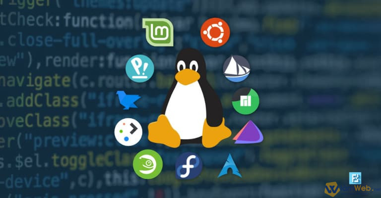 Dịch vụ hosting Linux điểm đến an toàn cho website của doanh nghiệp. 